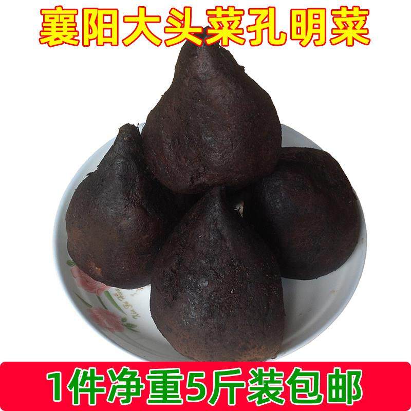 湖北襄阳特产孔明菜襄樊高丽菜酱菜罗卜干 干泡菜榨菜芥菜疙瘩丝,水产肉类/新鲜蔬果/熟食,腌制/榨菜/泡菜,淘宝优惠券,粉丝福利购,淘宝优惠卷