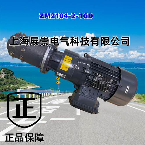 SKF润滑系统ZM2104-2+1GD ZM2104-1+140ZP1005-S2ZP1002-S2多头泵