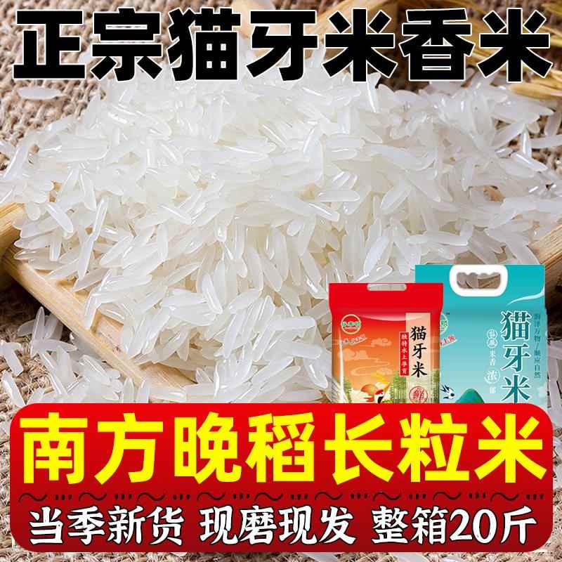 猫牙米长粒香米南方大米2025年当季新米丝苗米煲仔饭寿司专用米