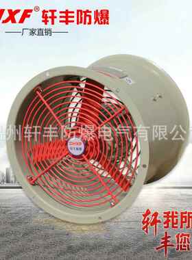 轩丰直销CBF-400防爆轴流风机220V防爆通风机380V IIC T4抽风机