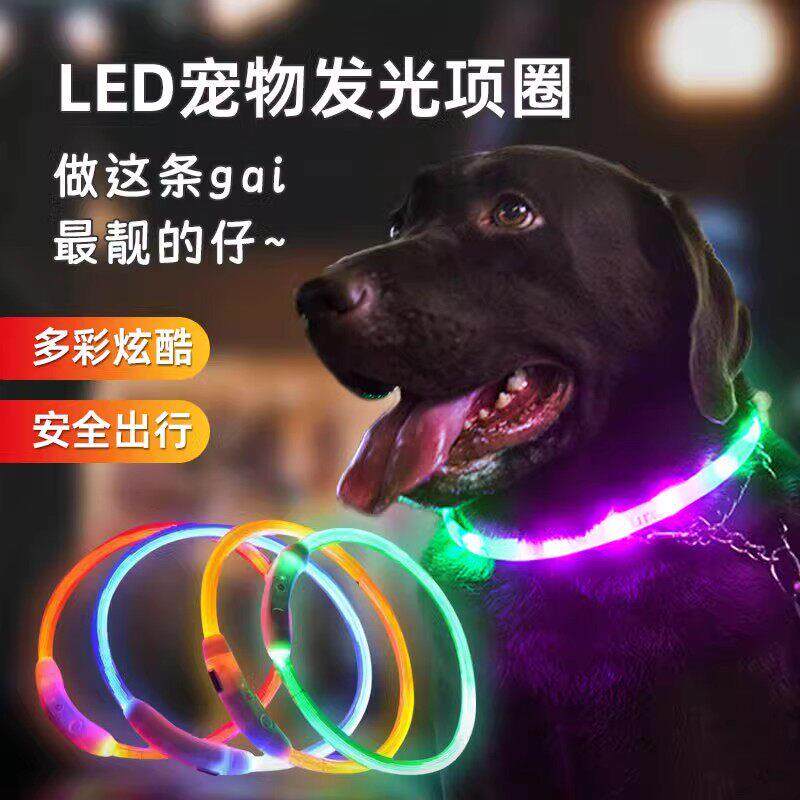 狗狗发光项圈夜间遛狗夜光狗圈小狗发光圈发亮萤光小型犬宠物脖圈