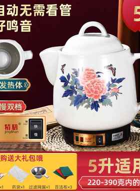 高档8-20L药壶大容房量煎药壶插电药锅罐煮药机中医药中熬药煲电