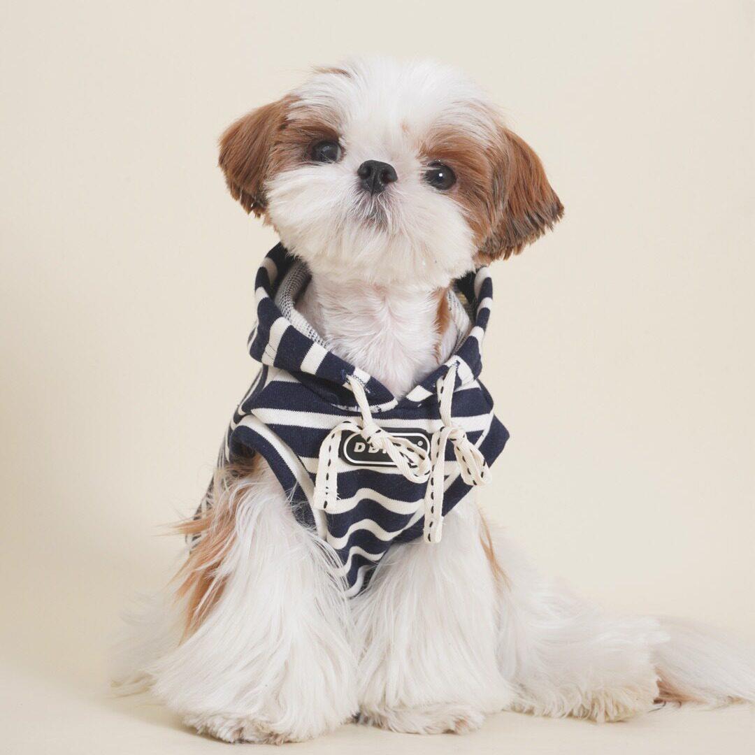 DDPET狗狗衣服宠物秋冬法斗雪纳瑞比熊西施小型犬复古连帽衫卫衣