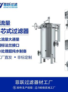 菲跃大流量精密滤芯过滤器水处理超纯水制备环节过滤芯式过滤器