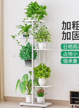 A6T铁艺花架落地式花盆架室内客厅阳台装饰置物架多层省空间绿萝