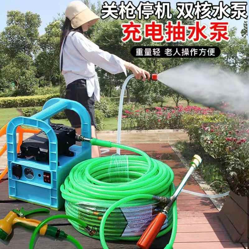 芙蕾米手提电动喷雾器农用充电打药机果树多功能高压浇菜浇花洗车抽水泵床笠拉车