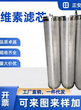 脉冲滤筒除尘器滤芯160*2000 聚酯纤维除尘式除尘器滤筒