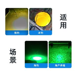 新款 鱼l水下诱鱼d诱鱼灯2V绿光IP6e8防水夜钓灯水下集灯防1水