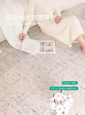 地毯客2厅026新款几卧室垫免FS758445洗地可擦轻奢感家用极简沙发
