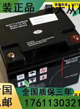 蓄电池M2AL12-38 12V38AH EPS/UPS直流屏计算机 电厂专用