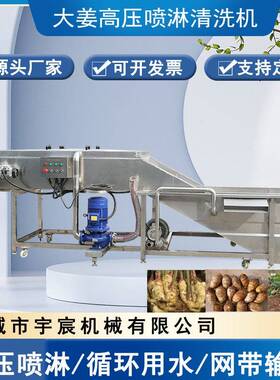 生姜去泥清洗机根茎类蔬菜泥沙清洗设备中草黄芩压喷淋清洗机
