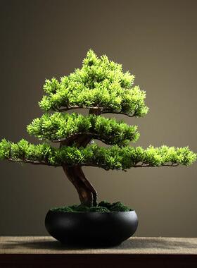 龙牙草