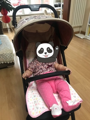 分析谁说下荷兰Easywalker xs迪士尼婴儿车怎么样，说实在的质量…