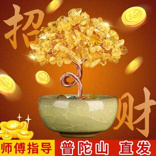 普陀山天然黄水晶招财树摆件发财摇钱树家居办公室工位桌面装饰品