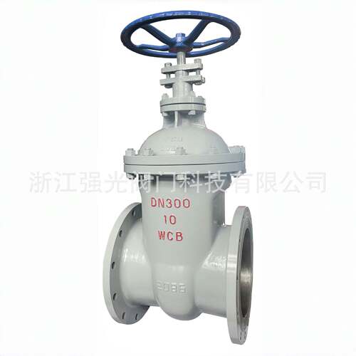 Z45H-10C，Z45T-10C，Z45Y-10C，Z45W-10C,铸钢碳钢暗杆法兰闸阀