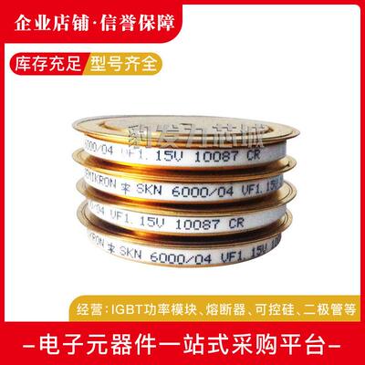 SKN6000/04 SKN6000/06平板晶闸管