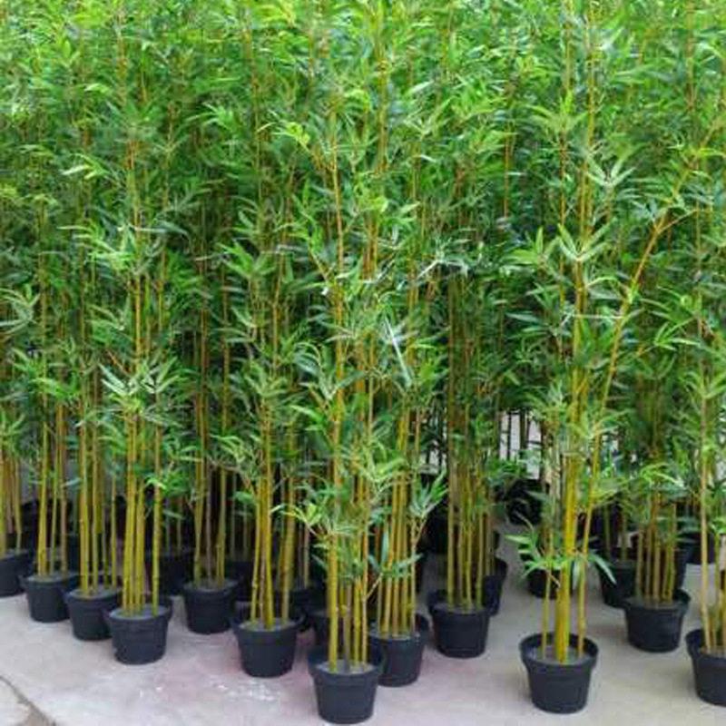 仿真竹子假竹子客厅隔断室内造景观植物室外装饰仿生竹子绿植挡墙