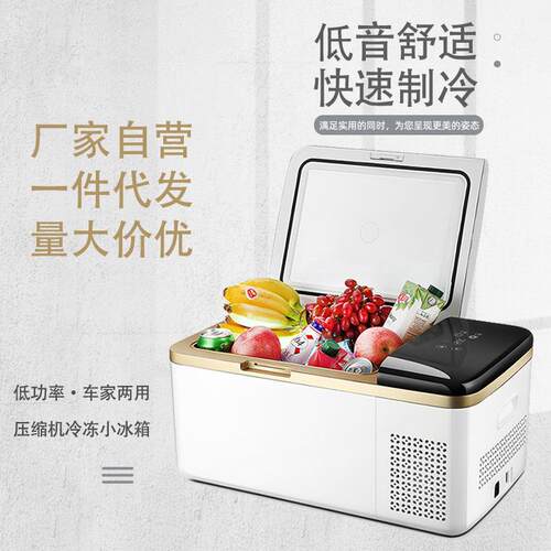车冰箱冷冻载家用户外小冰箱冷藏箱OYE用商用冰块迷你携式便专摆