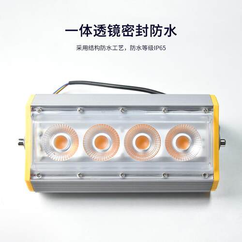 一束光led射灯聚光灯投光灯外墙别墅亮化户外防水罗马柱酒店超亮