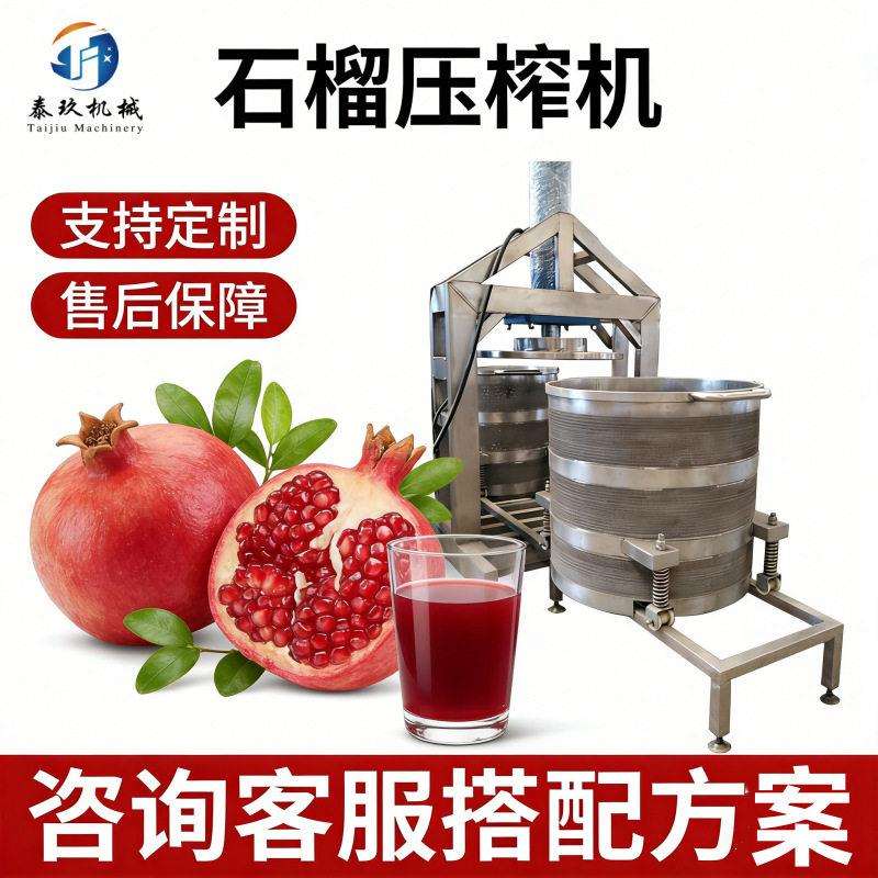 商用果蔬榨汁机石榴猕猴桃火龙果榨汁机器大型液压压榨出汁设备