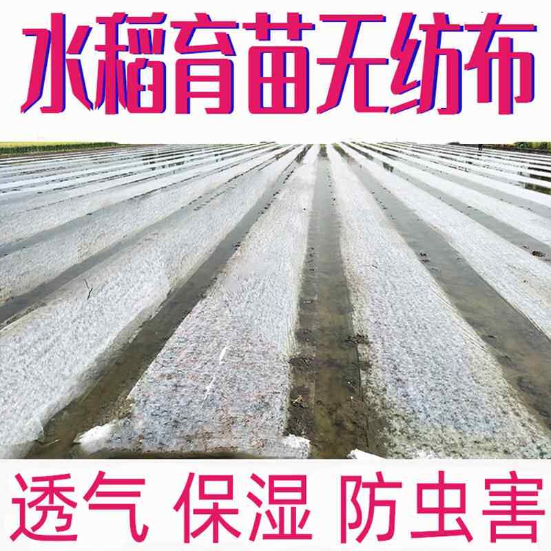 水稻育秧布农用无纺布花草树育苗抗老化土工布薄膜地膜透气懒汉膜