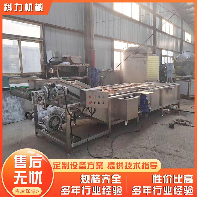 梅干菜清洗机雪菜鼓泡清洗机全自动气泡喷淋清洗机