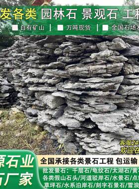 英德石假山英石假山石池造头景石头龙石假山流水景鱼观青鱼池假山