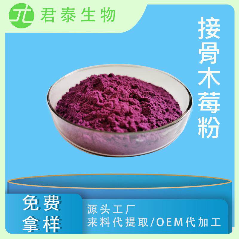 接骨木莓粉98% 接骨木莓果粉 接骨木莓汁粉 黑接骨木莓粉含花青素
