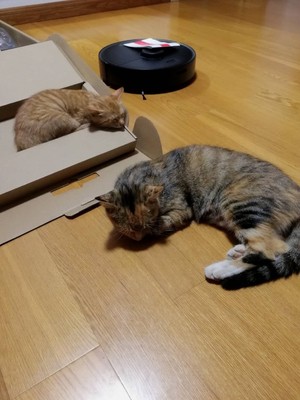 石头扫地机器人P5怎么样讲一讲体验心得感受