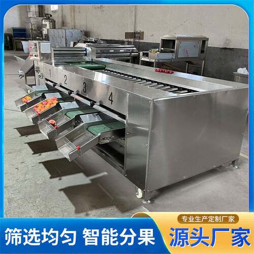 脐橙分选机不锈钢果冻橙分级机设备滚杠式油桃蟠桃水果分级机