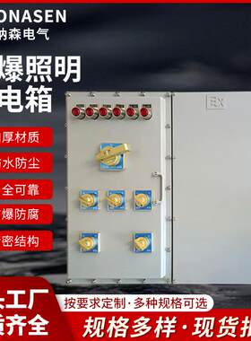 室内明装防爆照明动力配电箱BXMD68防爆配电箱厂家
