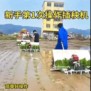 手扶式水稻插秧机稻田插值栽插机秧苗种植用的4行6行育苗插秧机器