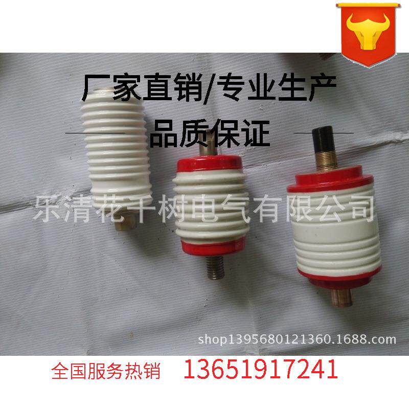 6KV高压真空管JCZ-6KV/160A 250A 400A 630A电容柜 启动柜计量柜