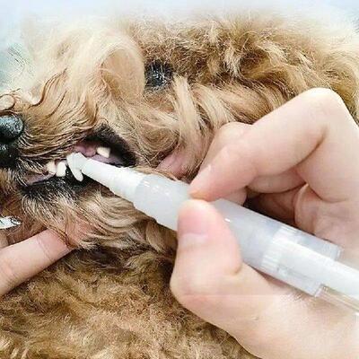 Remover For Teeth Dog Natural Plant Substance Teeth Cleaner