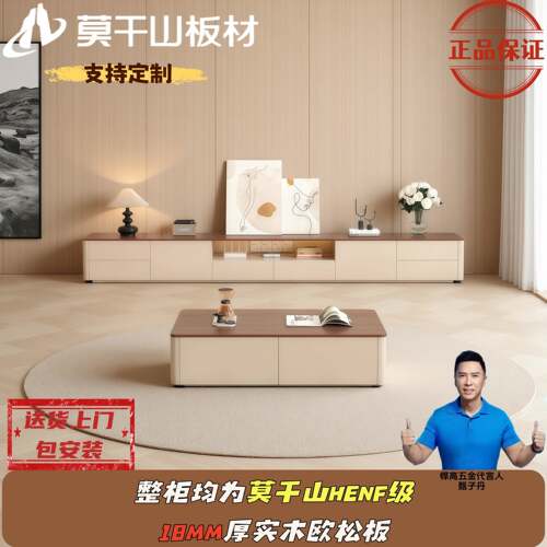 实木质电视柜茶几组合小户型收纳柜莫干山ENF现代家用客厅落地柜