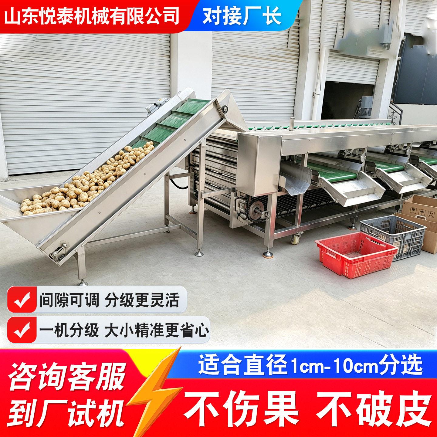 自动滚杠分选机圆萝卜山竹橘子大小分级机不锈钢滚杠式分选机
