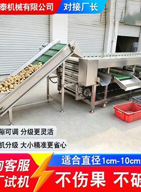 自动滚杠分选机 圆萝卜山竹橘子大小分级机 不锈钢滚杠式分选机