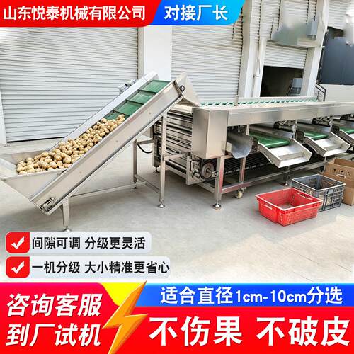 自动滚杠分选机圆萝卜山竹橘子大小分级机不锈钢滚杠式分选机