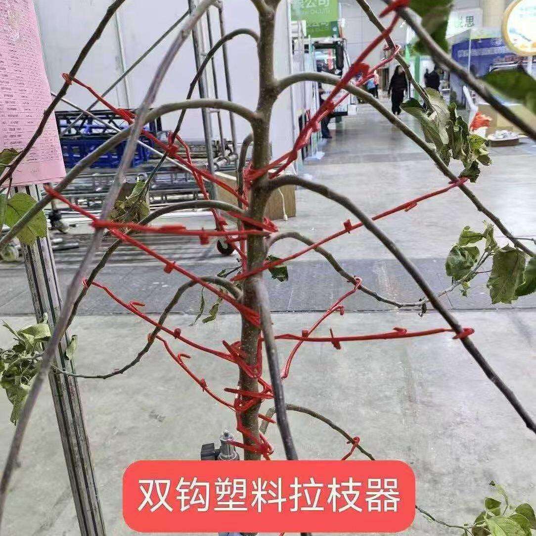 果树拉枝器双钩塑料拉枝器主干型拉枝器开角器果树压枝定型器园林