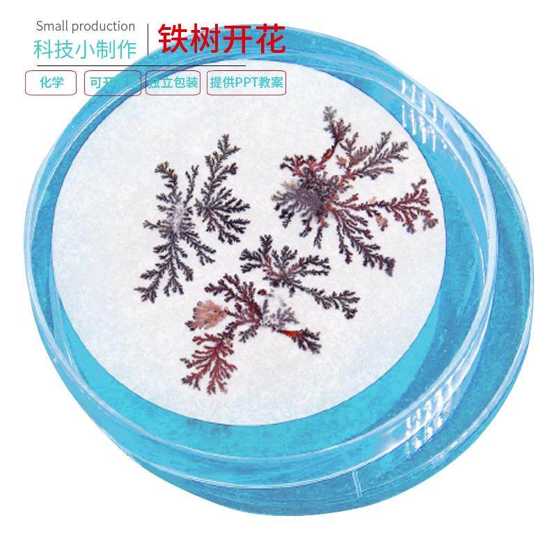 学生科学实验玩教具儿童科技小制作发明材料益智diy手工铁树开花,玩具/童车/益智/积木/模型,科学实验,淘宝优惠券,粉丝福利购,淘宝优惠卷