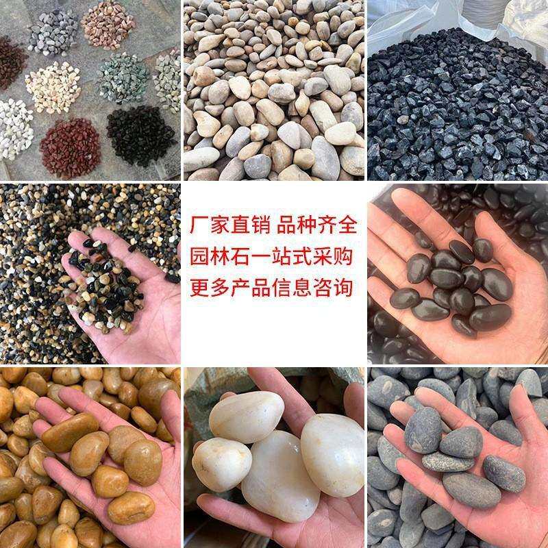 南京雨花石黄色鹅卵石抛光公园水池广场施工布景园林铺路庭院石头