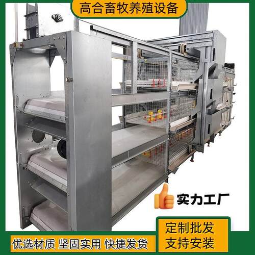 全自动半自动框架肉鸡笼立体式鸡舍养鸡场镀锌自动除粪直供外贸