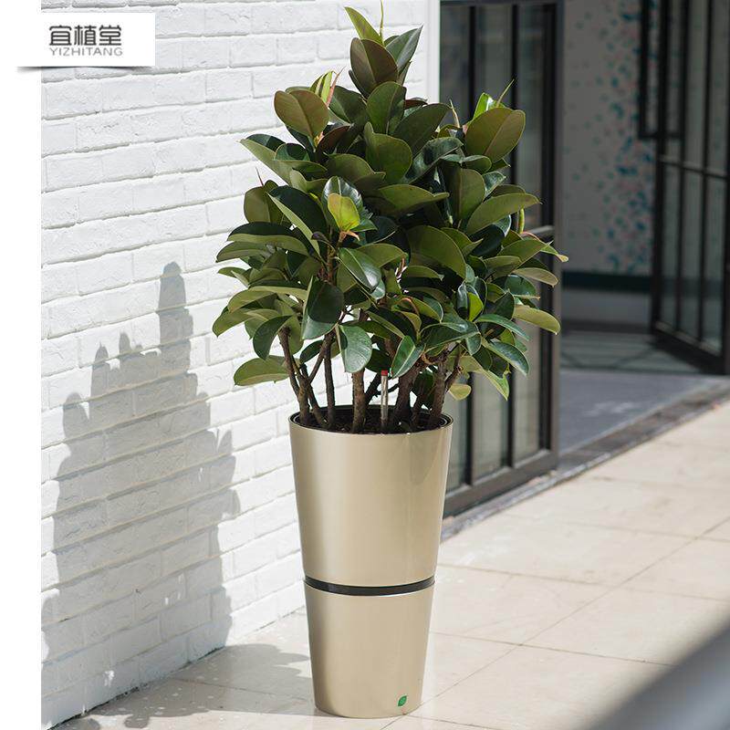 宜植堂落地客厅花盆塑料烤漆高圆透气创意自动吸水懒人大花盆