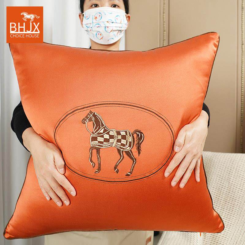 现代ins 风轻奢抱枕沙发客厅靠背垫65x65中式抱枕套不含芯大靠枕