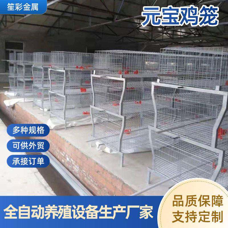 全自动元肉鸡笼家养鸡养殖笼畜牧设备养殖四层两门蛋鸡笼肉鸡笼