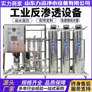 双级反渗透设备商用净水器净化水纯水 工业水处理设备去离子单