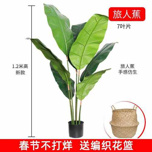 植盆栽假室内塑料摆件绿旅人仿真装饰树蕉花花仿真龟背竹大型客厅