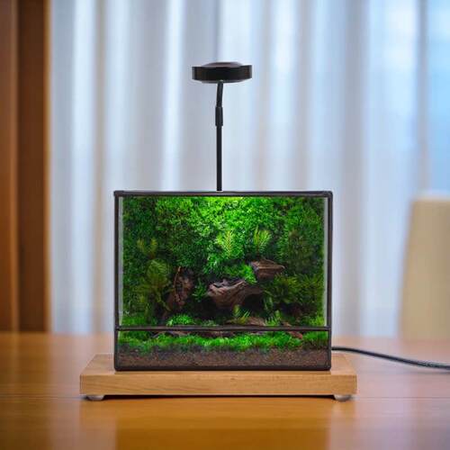 创意苔藓微景观生态瓶闷养瓶趣味植物盆栽组合