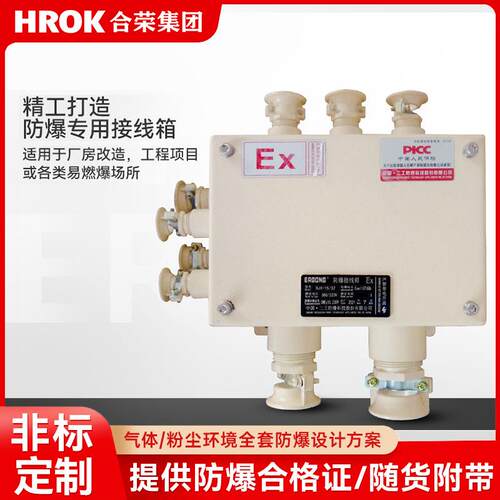 防爆接线箱碳钢材质T6防水盒仪表控制柜工业插座检修电源分线端子