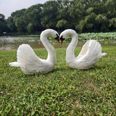 仿真天鹅模型拍照白天鹅摆件室内园林草地装饰天鹅摄影拍照道具